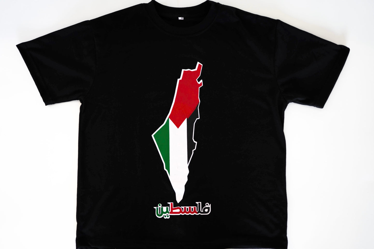 Palestine Graphic Tee